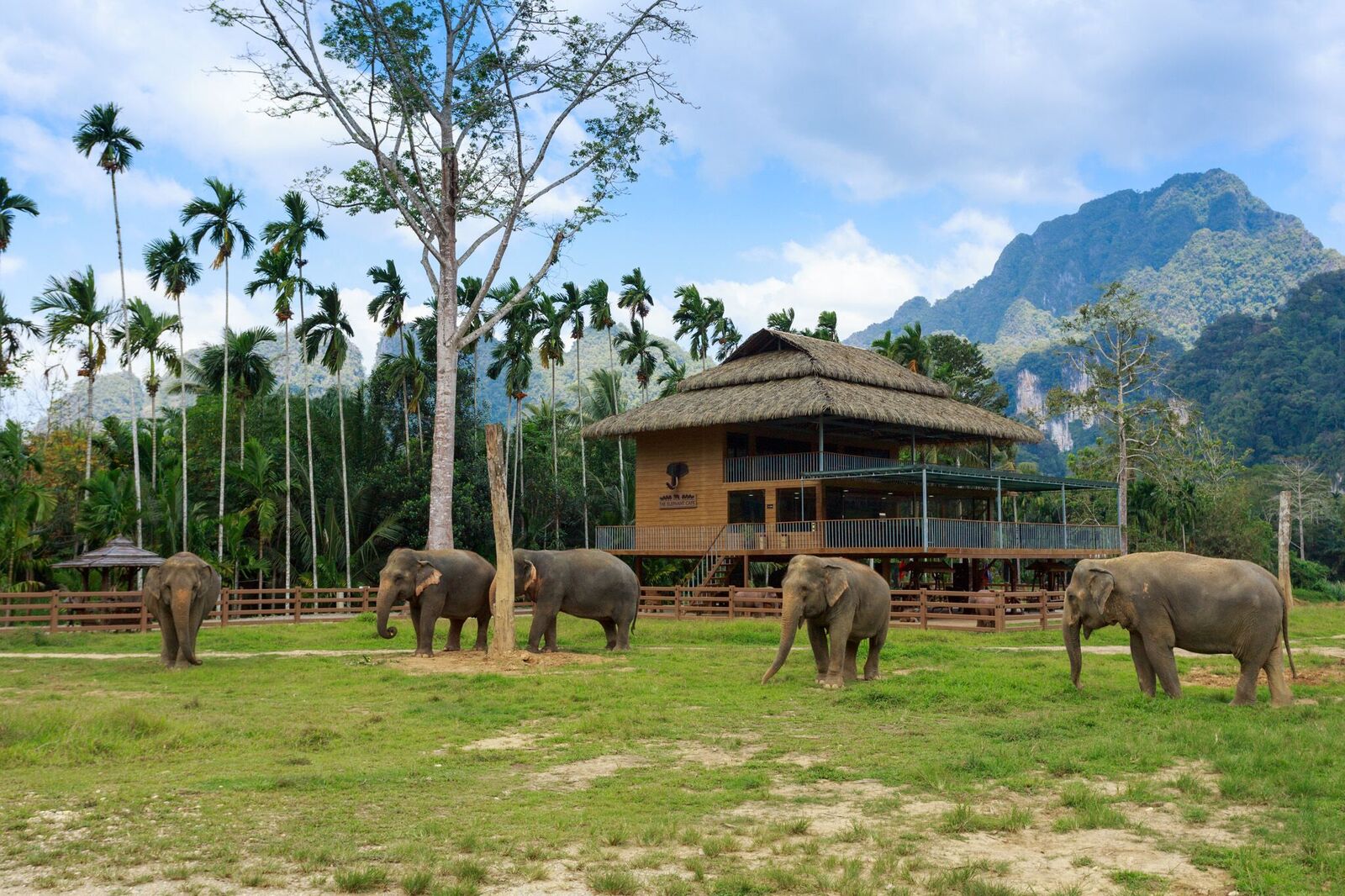 elephant-hills-pavilion