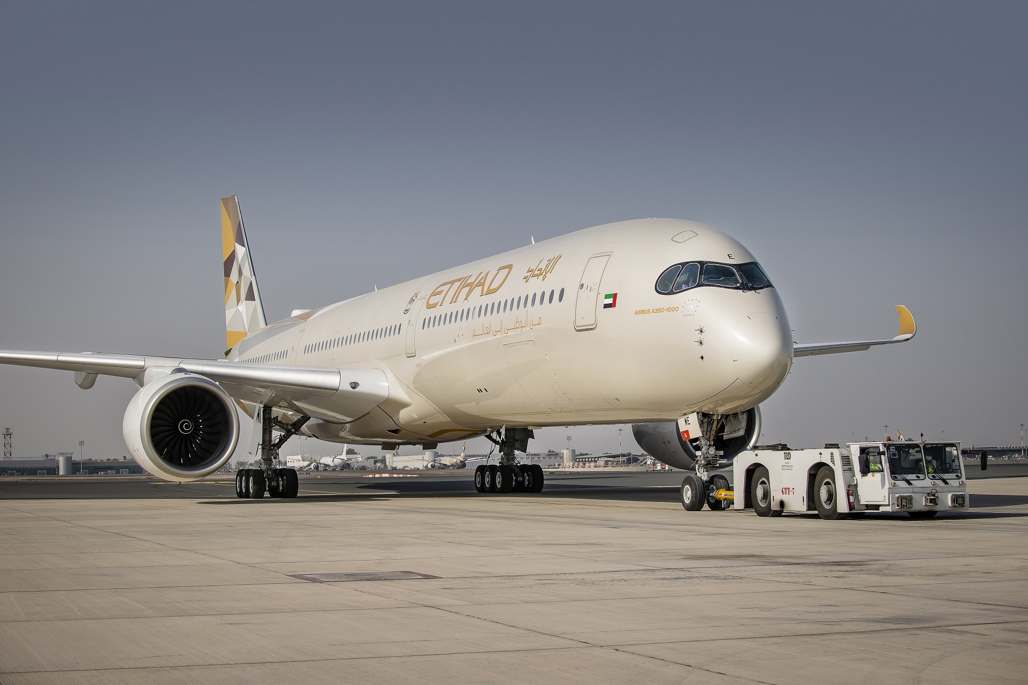 Etihad Airways Boeing 787