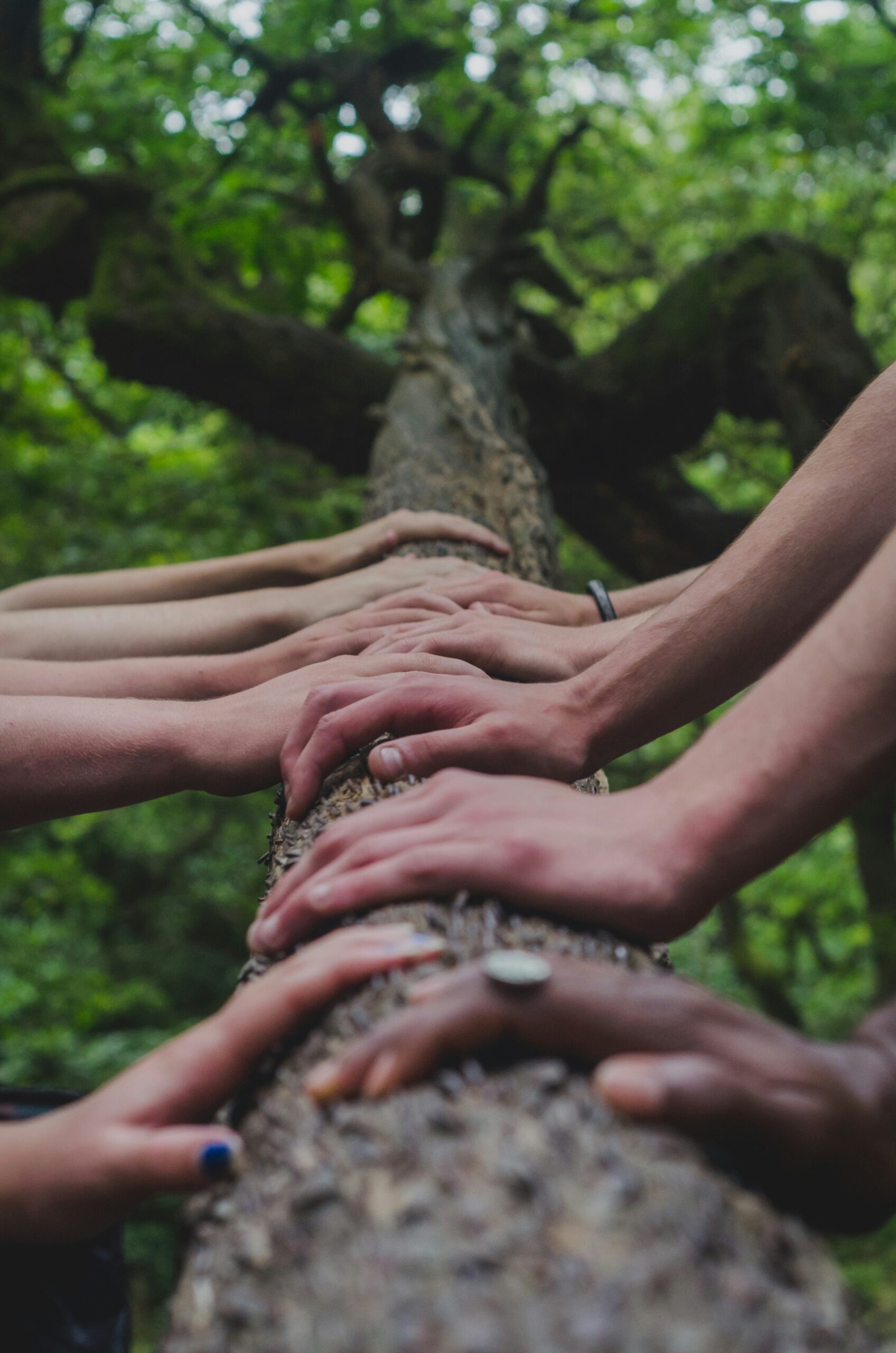 Group hands