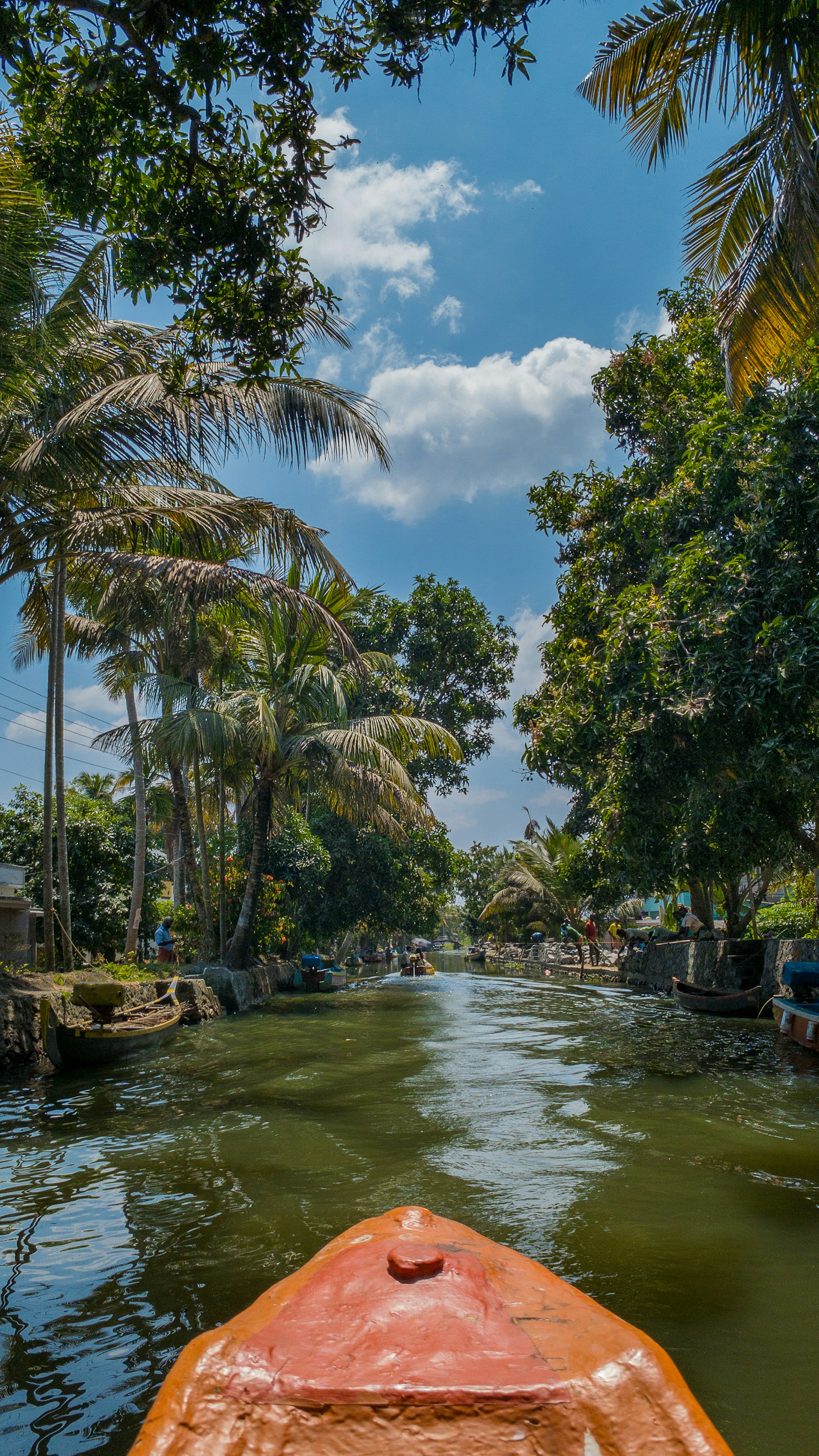 Boat traveling down a river surrounded by palm trees, Kerala backwaters