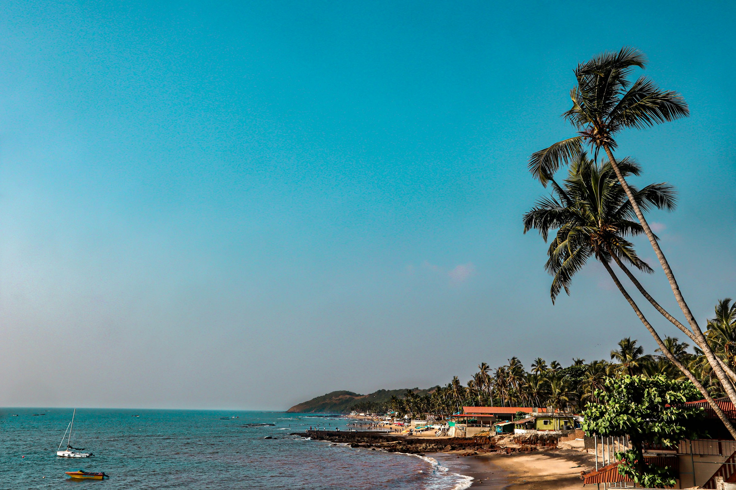Beach with palm trees and a boat in the water, Goa