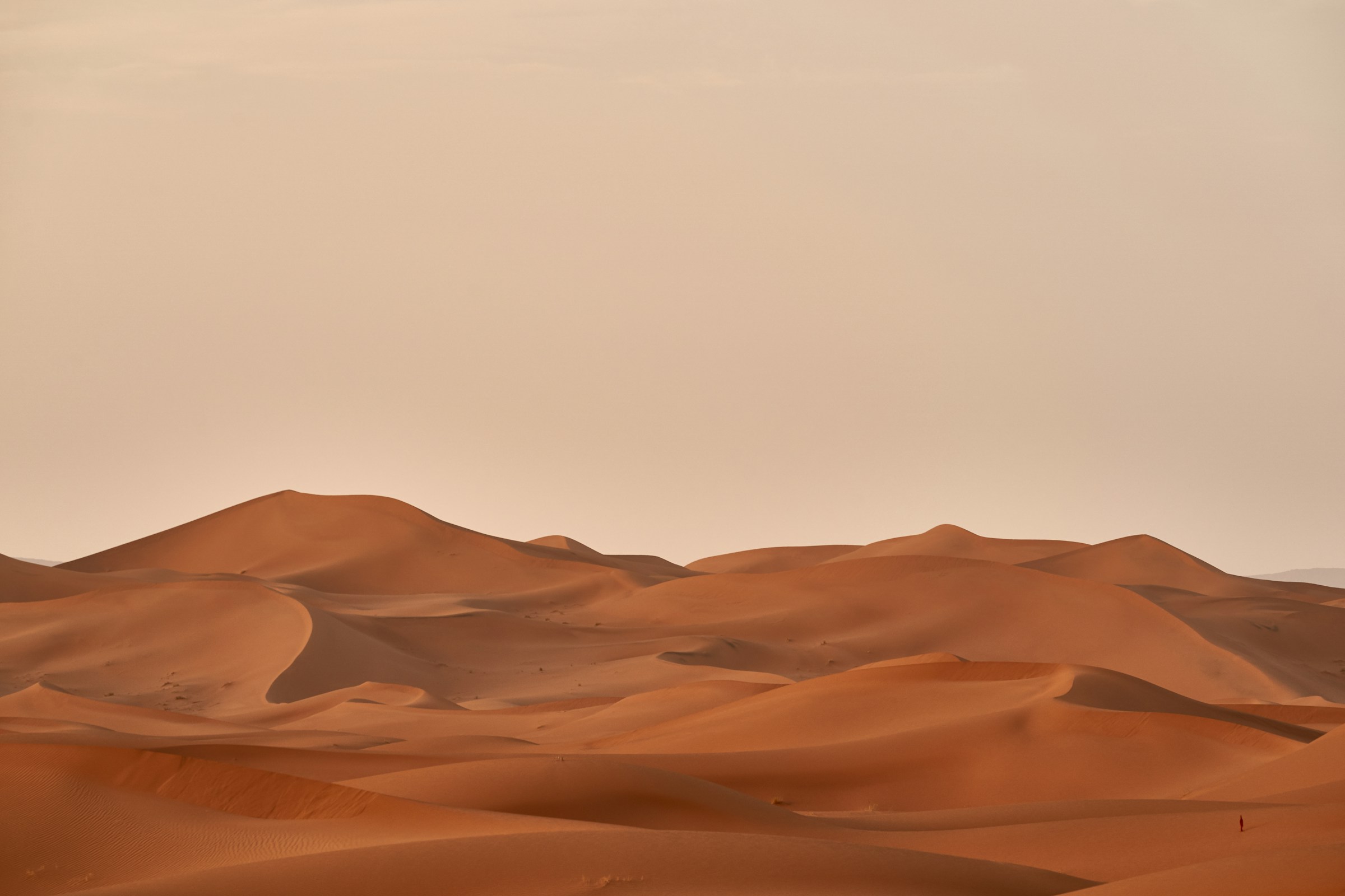 Rolling sand dunes in desert landscape