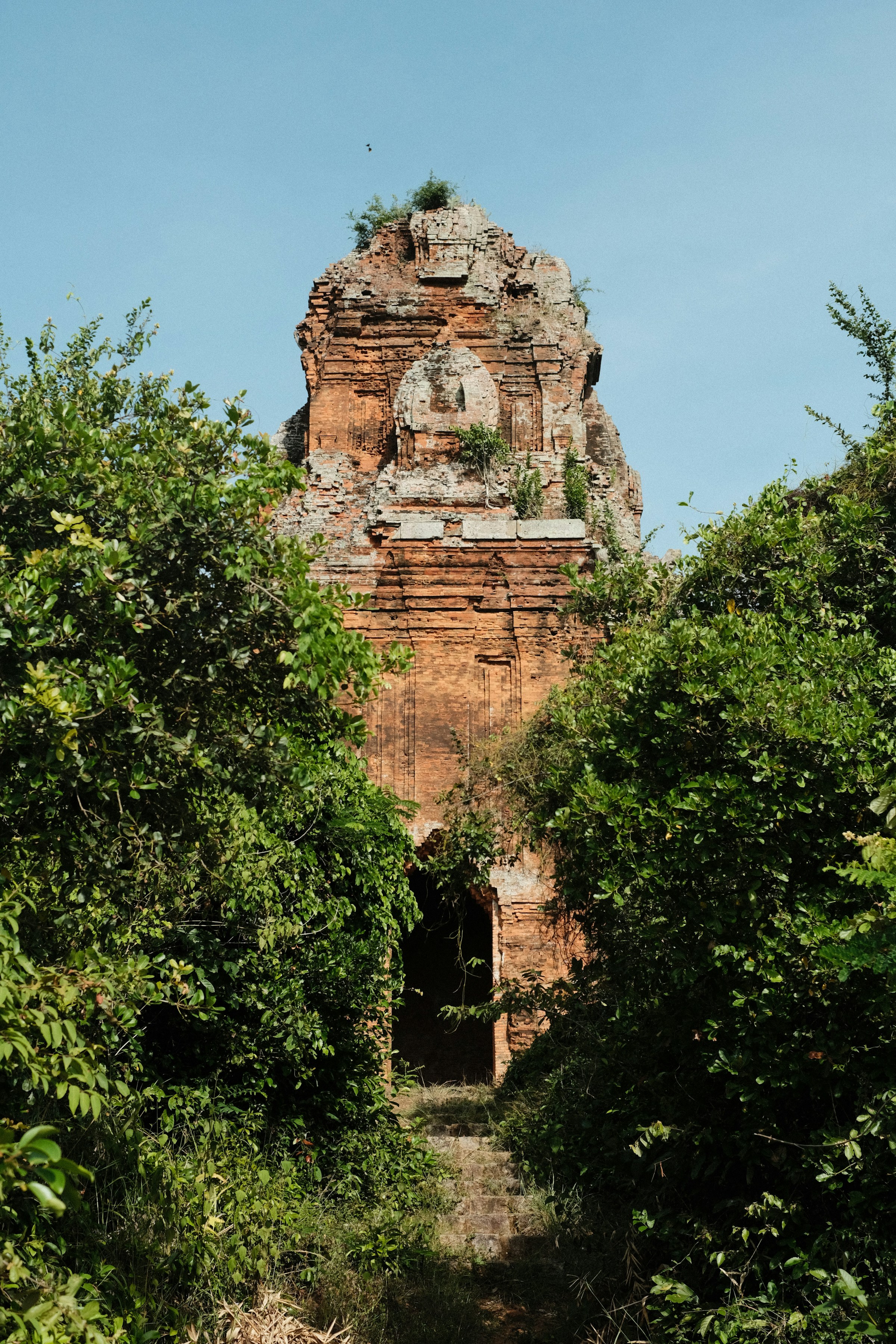 Ancient crumbling tower framed by greenery, My Son Sanctuary