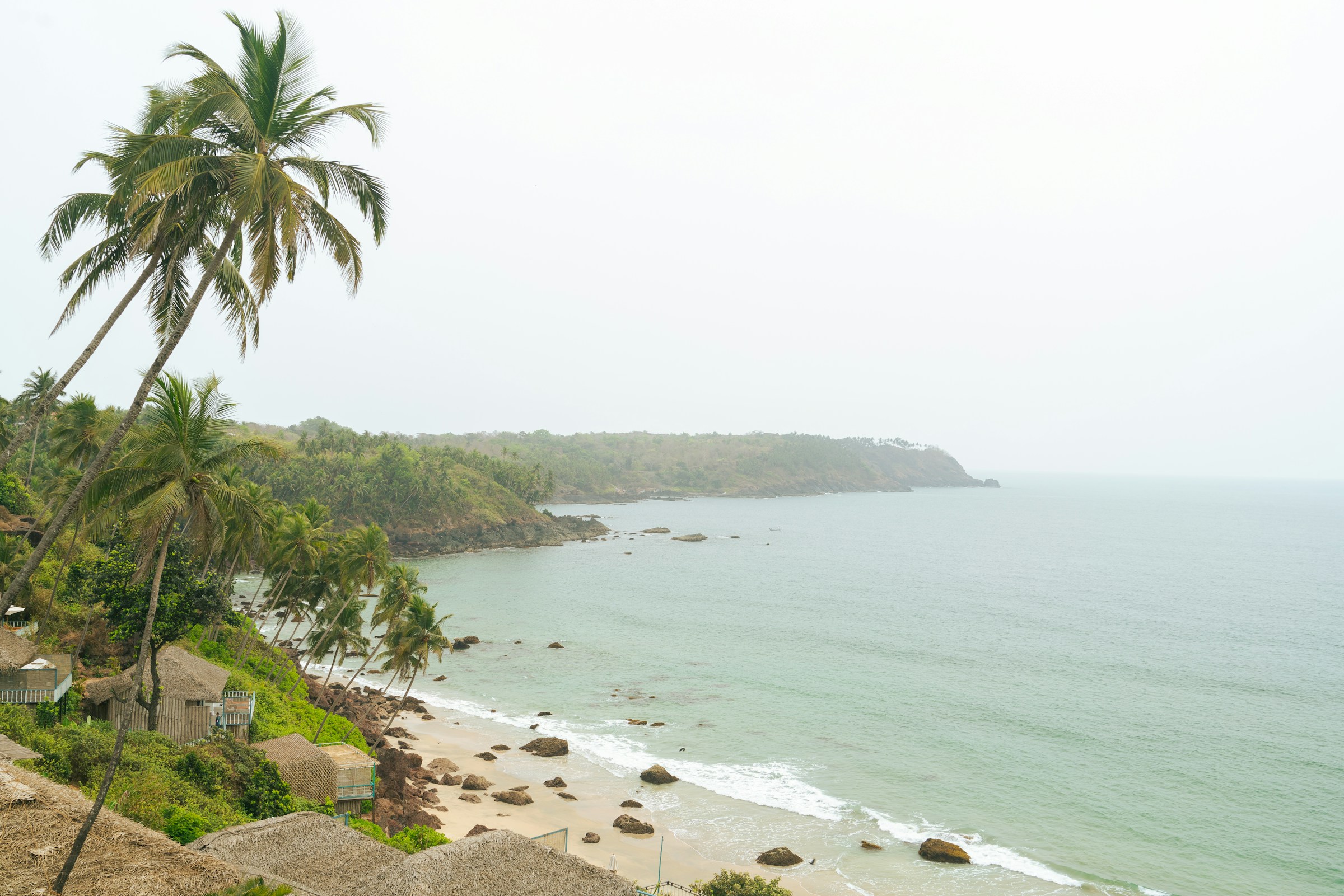 View of a beach with palm trees in the foreground