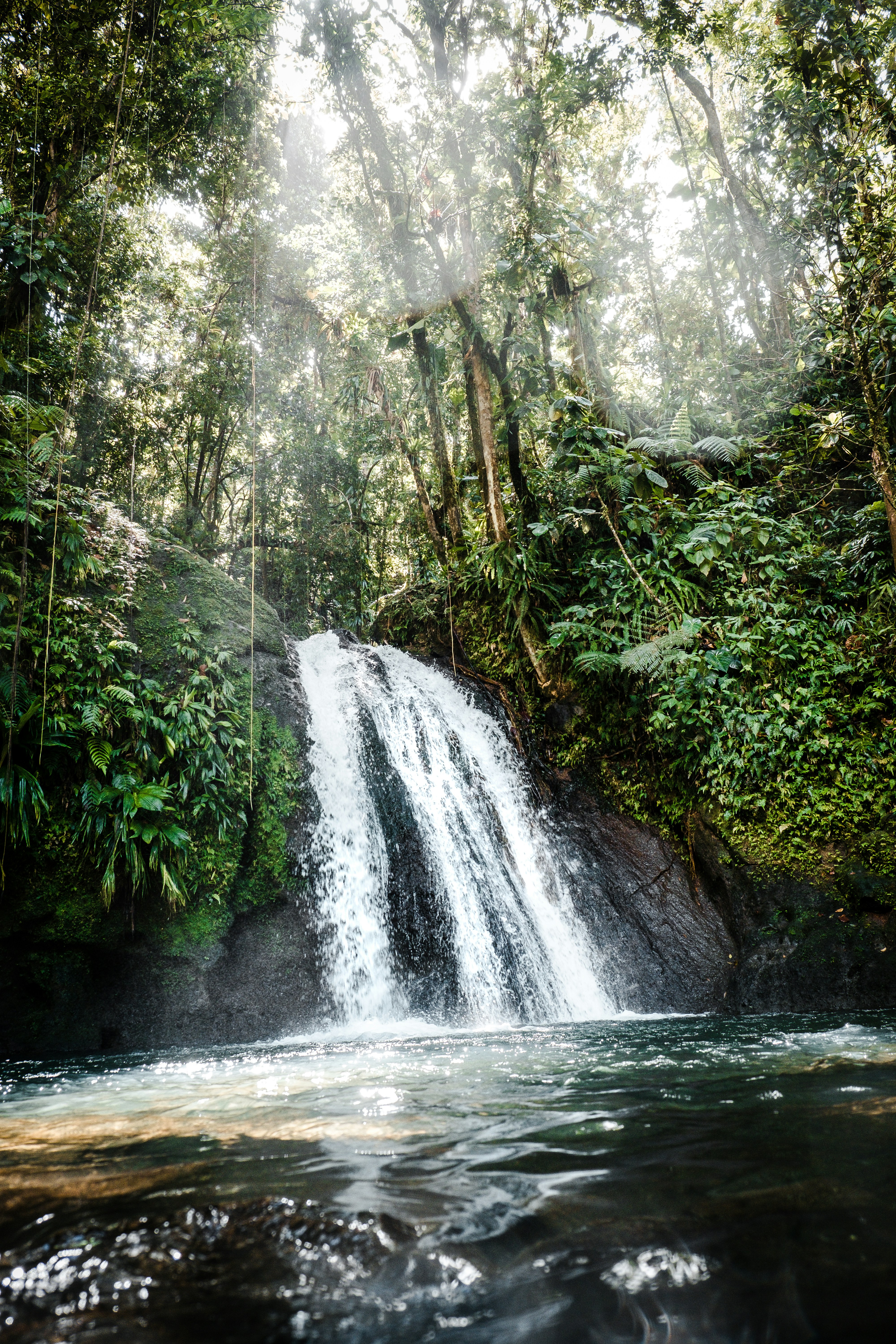 Black River Gorges waterfall
