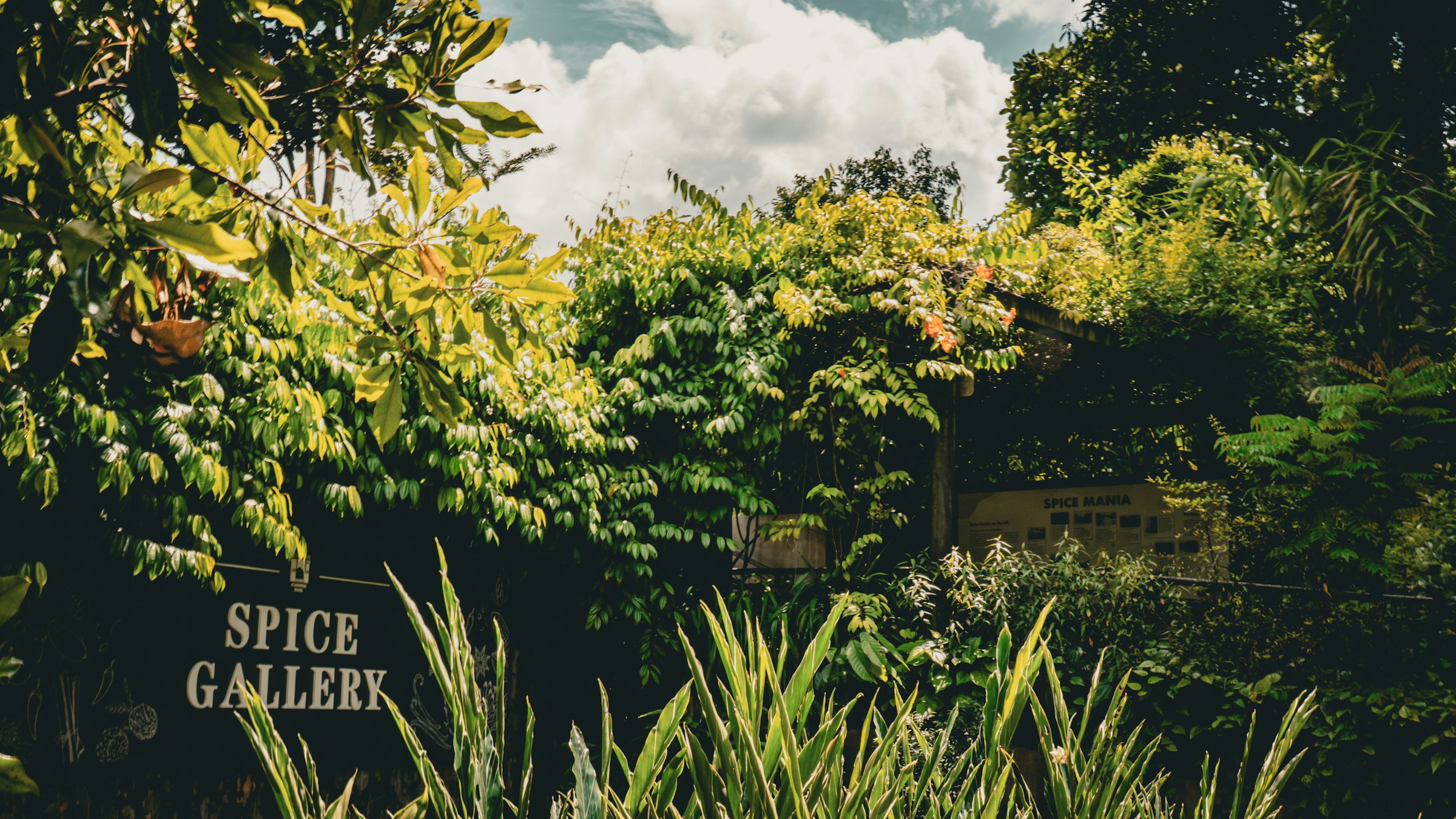 Spice gallery sign surrounded by lush green foliage