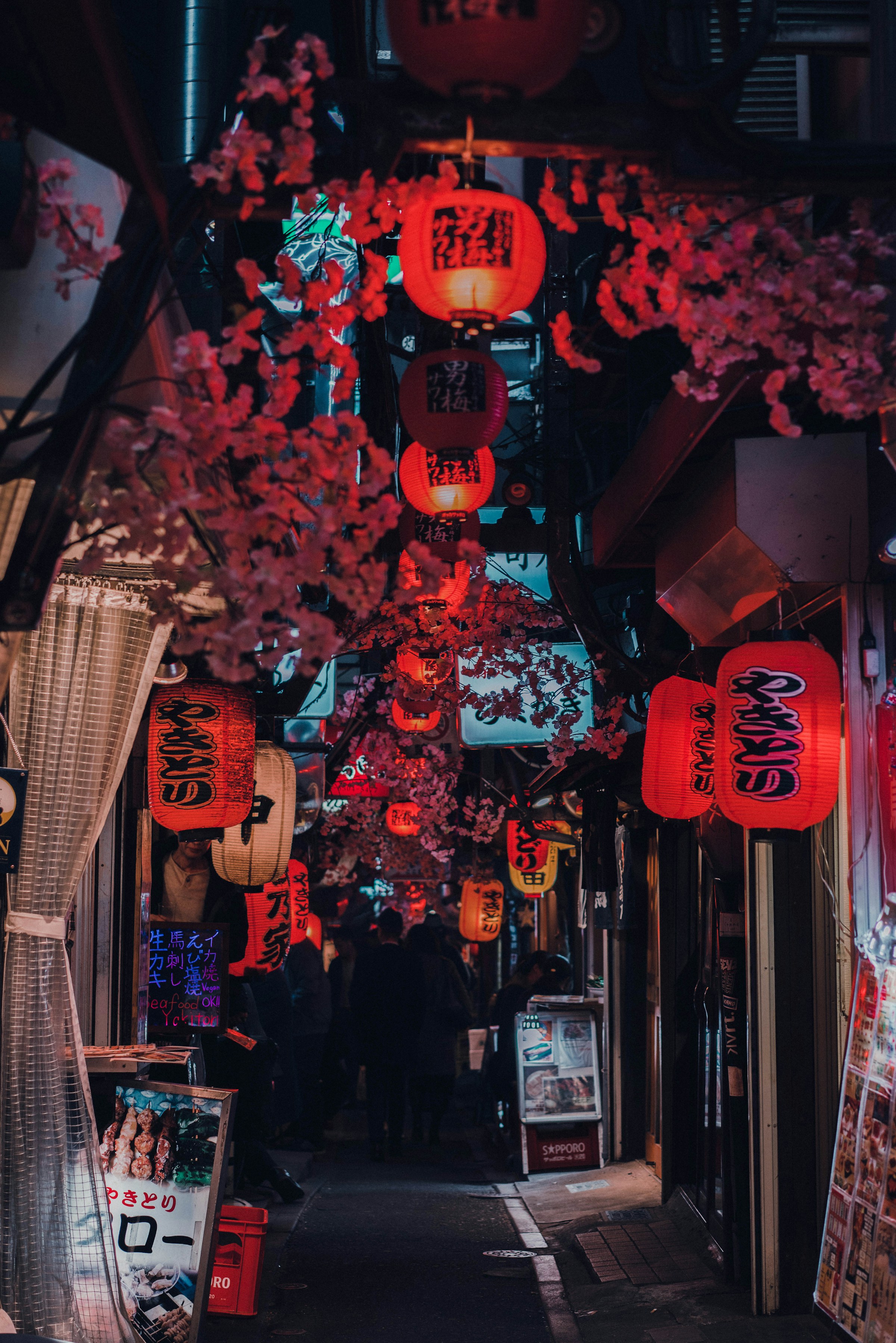 Evening street with red lanterns
