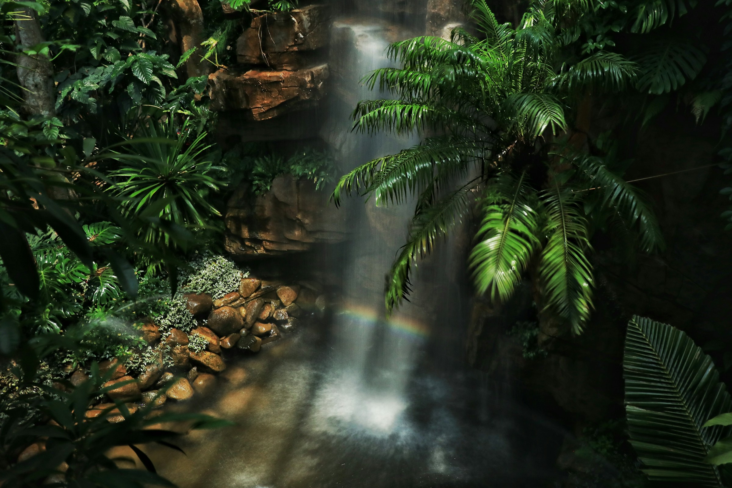 Waterfall between trees with sun rays