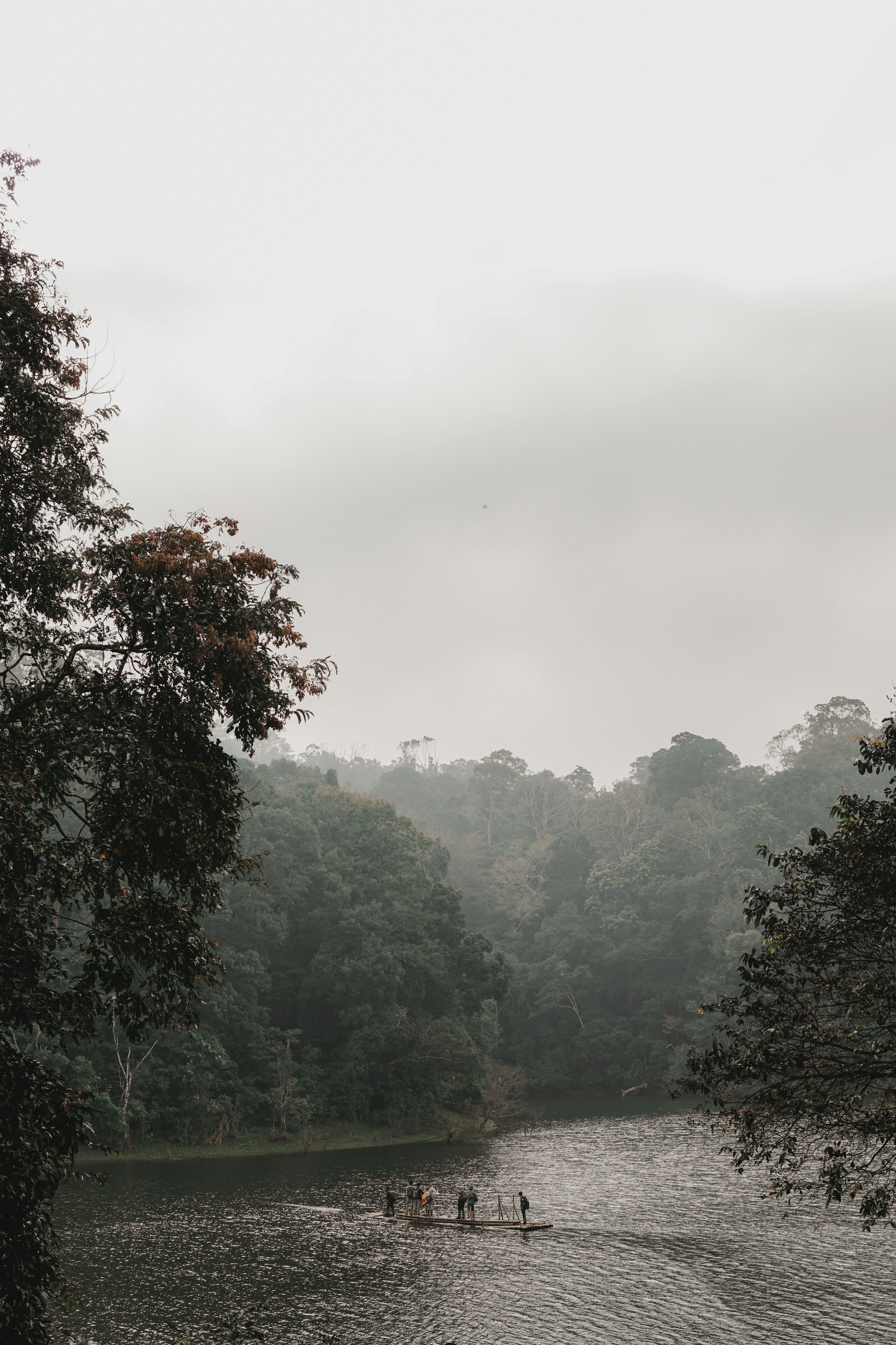 People on a raft in a serene forest river, Periyar