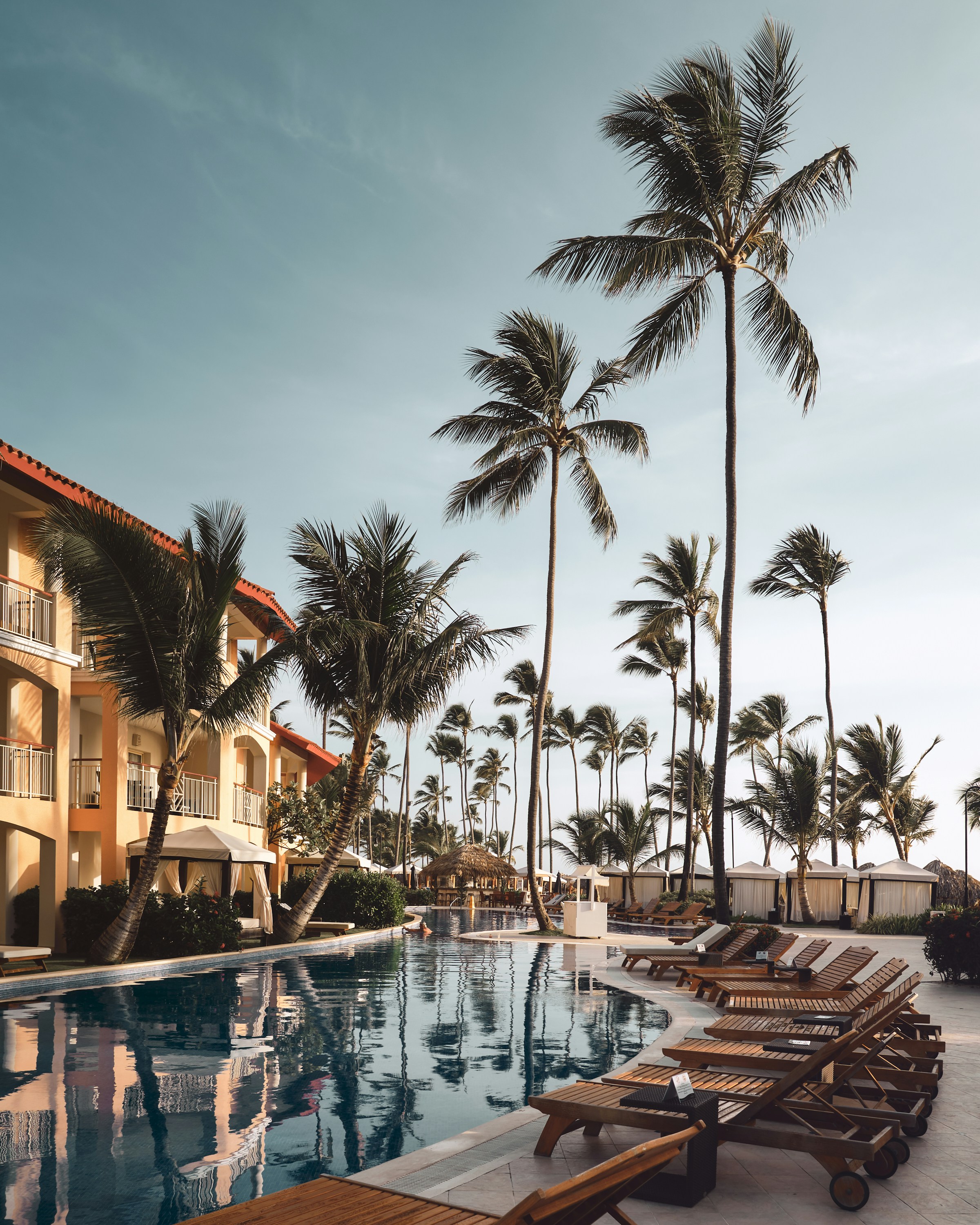 Wooden lounge chairs near a pool surrounded by palm trees