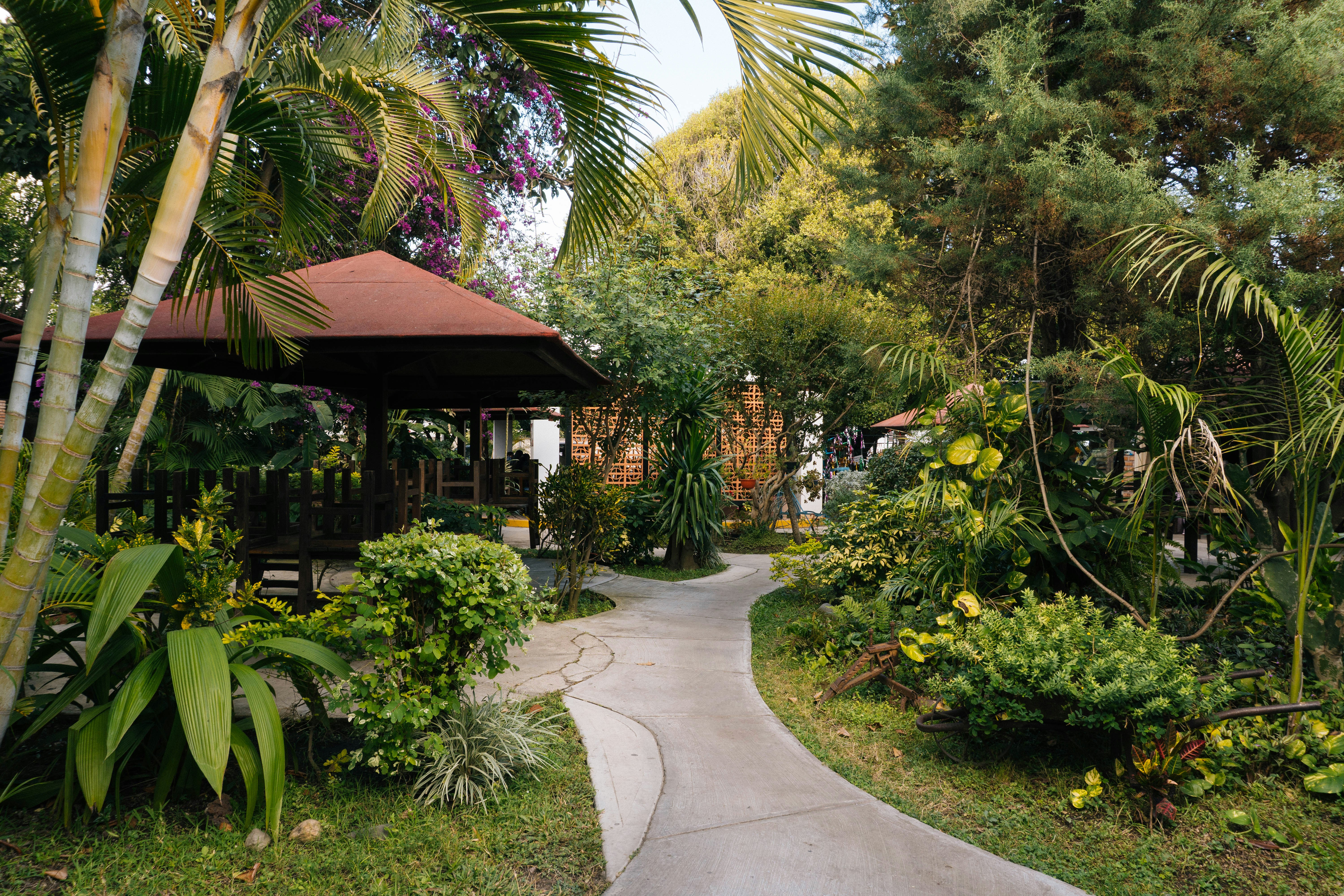 Tropical garden walkway
