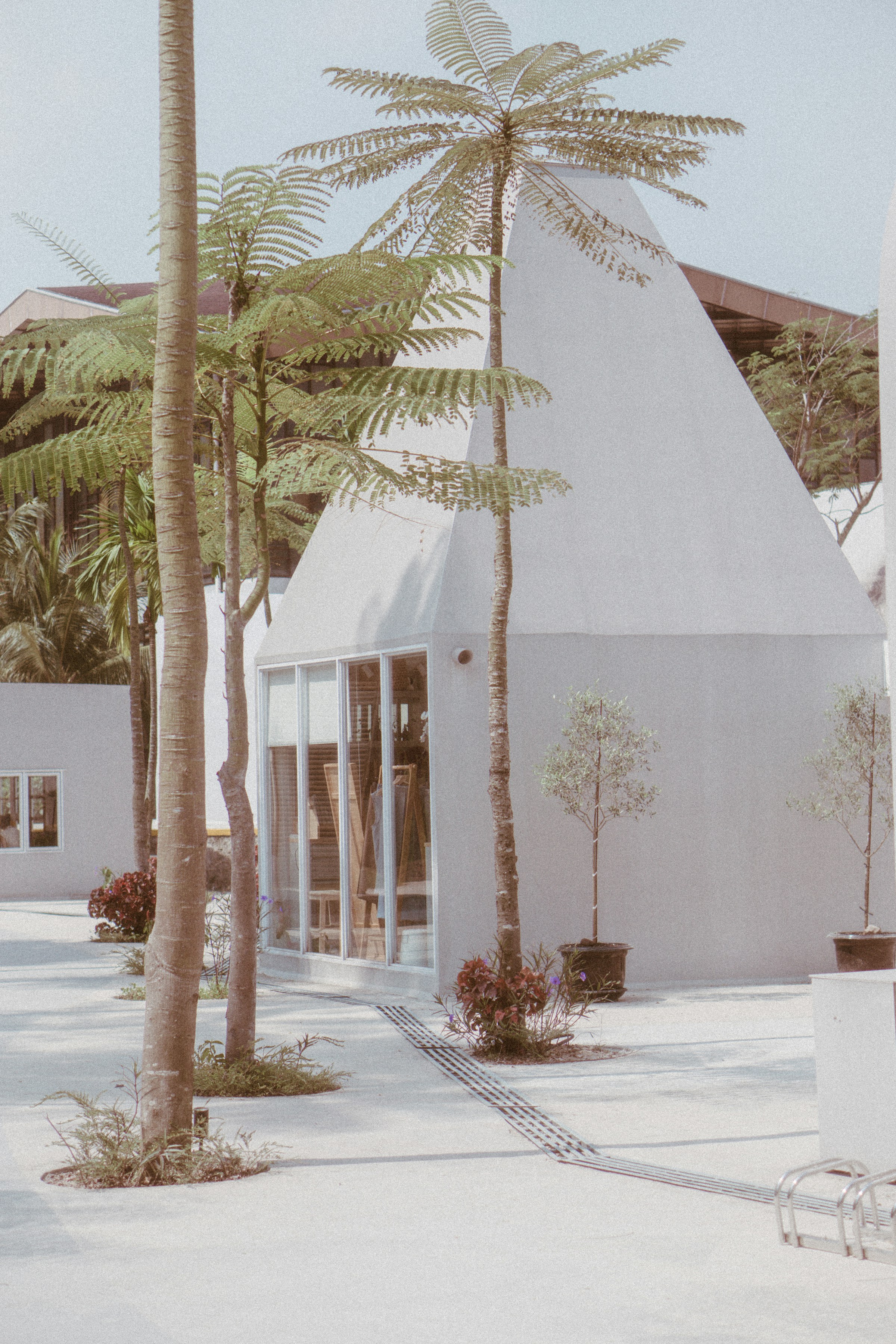 Minimalist white building near palm trees