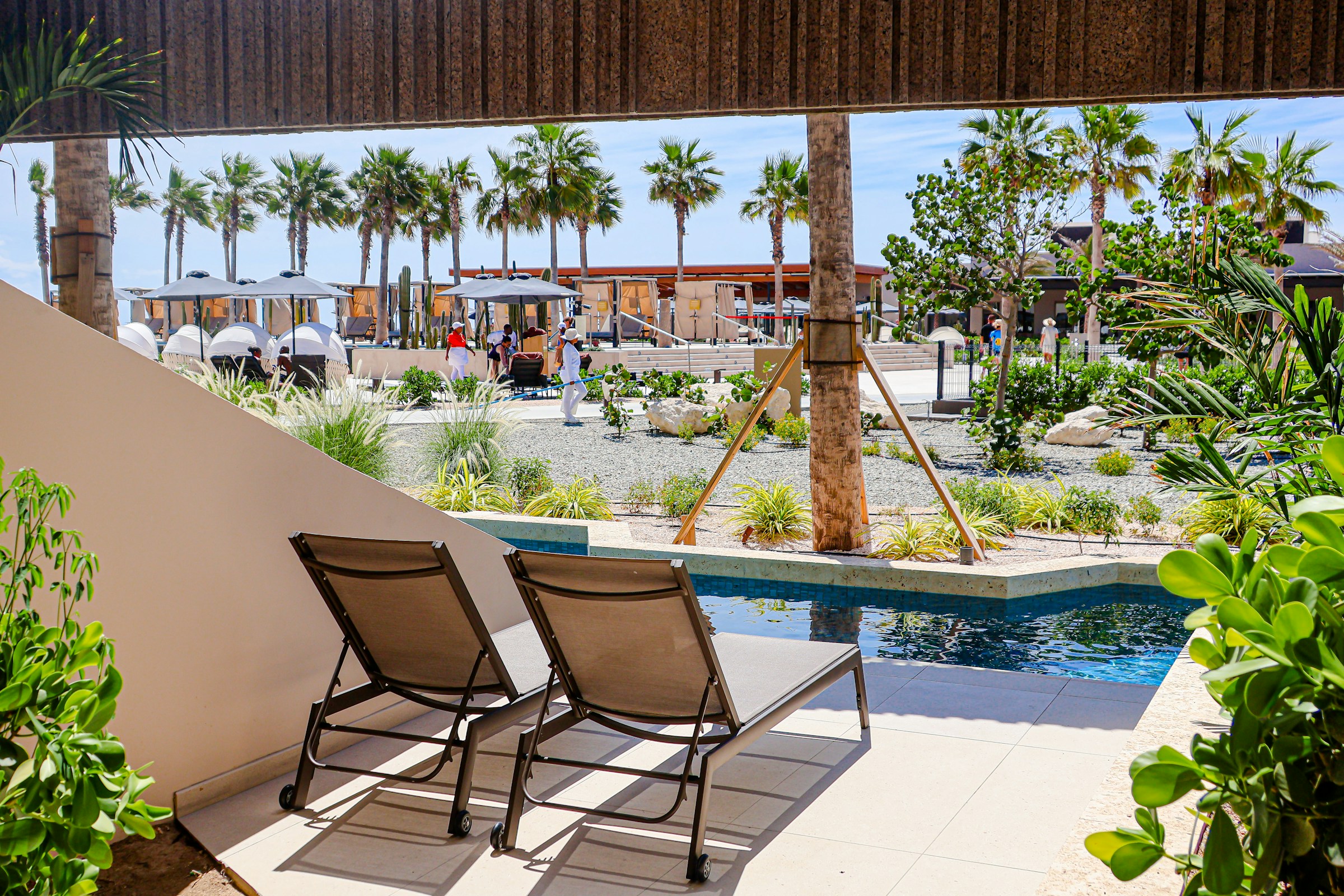 Small pool with lounge chairs and palm trees
